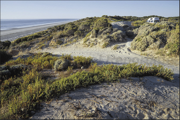 The long beaches on the ocean coast near the town of Kingstone