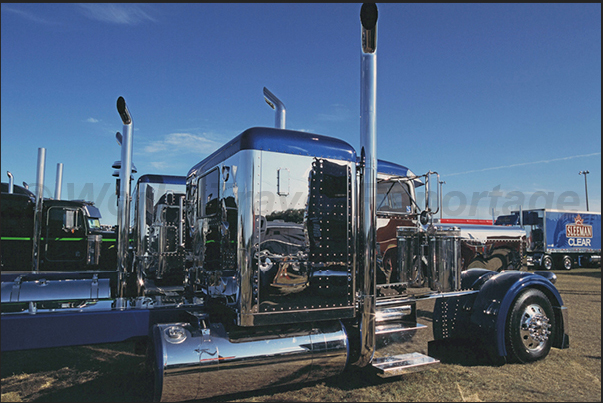 Difficult, for the judges of the beauty contest, decide which is the most beautiful truck Difficult, for the judges of the beauty contest, decide which is the most beautiful truck