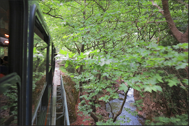 The tourist train that connects Diakopto with Kalavryta through woods and along a river that has carved a deep canyon