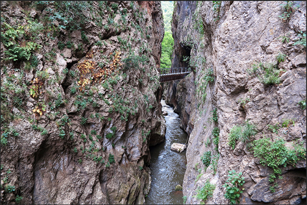 The tourist train that connects the city of Diakopto with Kalavryta along a river that has carved a deep canyon The tourist train that connects the city of Diakopto with Kalavryta along a river that has carved a deep canyon