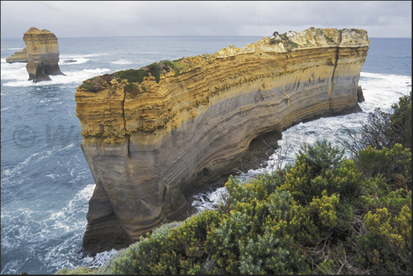 Great Ocean Road. The coast of 12 apostles. London Bridge Great Ocean Road. The coast of 12 apostles. London Bridge
