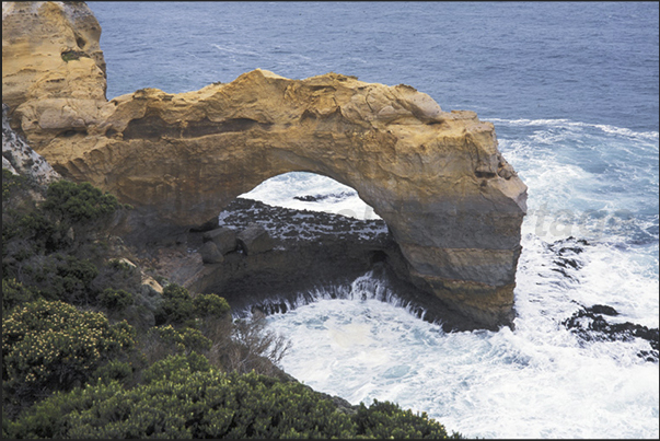 Great Ocean Road. The coast of 12 apostles. The Arch