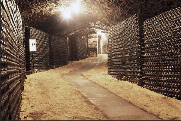 In the Seppelt winery, the ancient gold mines have been turned in cool cellars