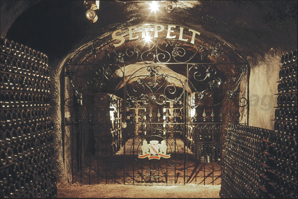 In the Seppelt winery, the ancient gold mines have been turned in cool cellars