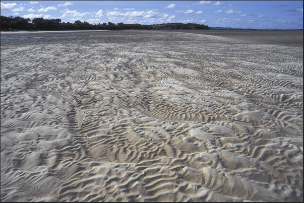 Low tide discovers the sandy bottom of the Inverlock Bay near Melbourne Low tide discovers the sandy bottom of the Inverlock Bay near Melbourne