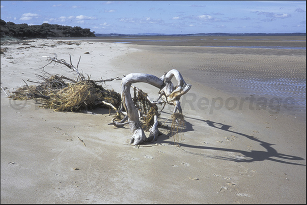 Inverlock Bay near Melbourne