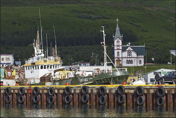 Country of Husavik. An important center for whale watching Country of Husavik. An important center for whale watching