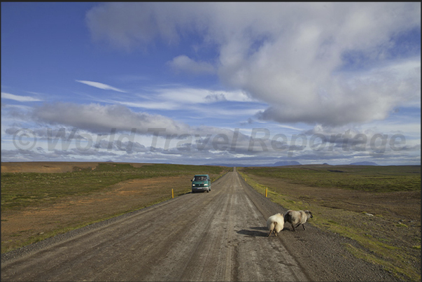 The road that leads from Husavik to the volcanic area of Myvatn The road that leads from Husavik to the volcanic area of Myvatn