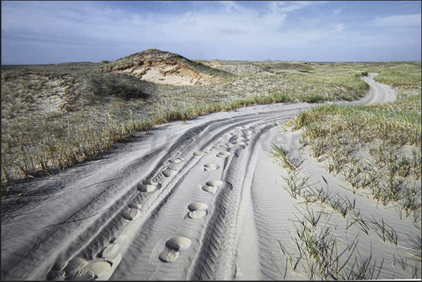 A single paved road runs through the archipelago, all the others roads are sand tracks (4x4 only) A single paved road runs through the archipelago, all the others roads are sand tracks (4x4 only)