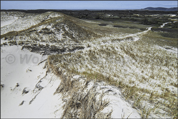 The great nature reserve that covers much of Grosse Island in the northeast of the archipelago The great nature reserve that covers much of Grosse Island in the northeast of the archipelago