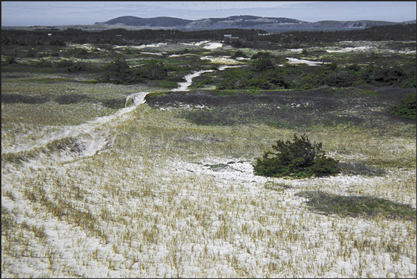 The great nature reserve that covers much of Grosse Island in the northeast of the archipelago