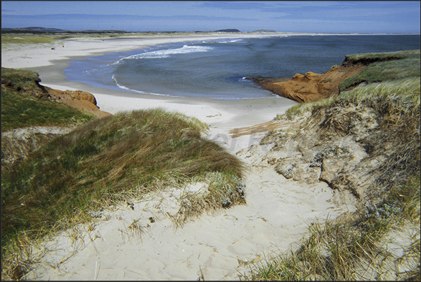 East coast of Grande Entree island, near Cape Old Hardy