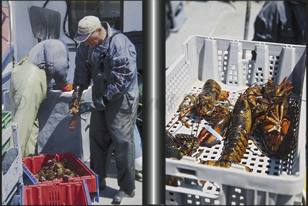Lobstermen and shellfish, one of the main economic activities of the archipelago Lobstermen and shellfish, one of the main economic activities of the archipelago