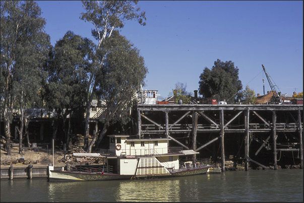 Echuca. Cruise on Murray River Echuca. Cruise on Murray River