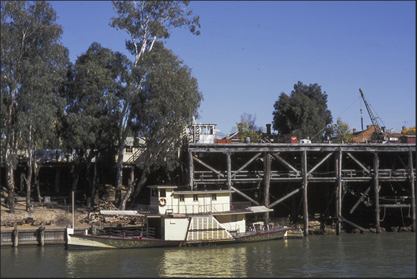 Echuca. Cruise on Murray River