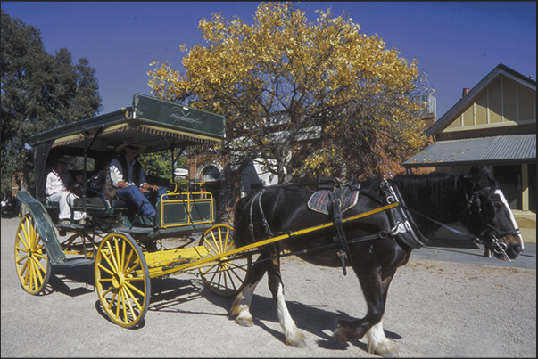Carriage in the streets of Echuca Carriage in the streets of Echuca