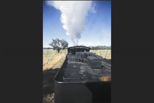 The railway line Maldom-Guildfor The railway line Maldom-Guildfor