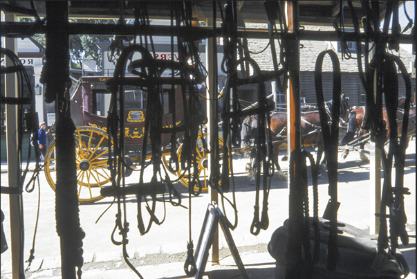 Sovereign Hill, near Ballarat. Accessories shop for horses Sovereign Hill, near Ballarat. Accessories shop for horses