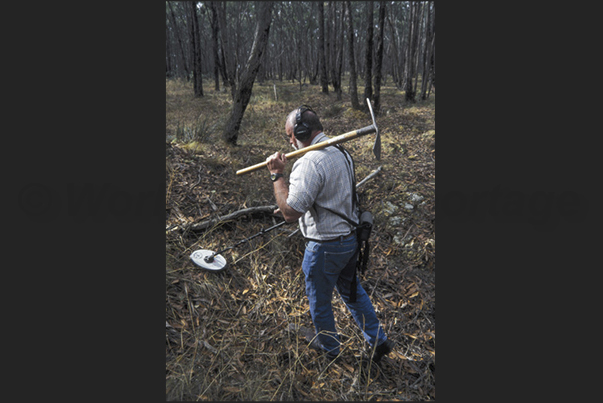 The new frontier of modern gold diggers, are the metal detectors The new frontier of modern gold diggers, are the metal detectors