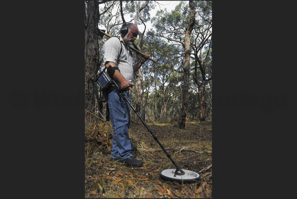 The new frontier of modern gold diggers, are the metal detectors The new frontier of modern gold diggers, are the metal detectors