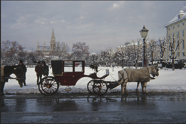 Vienna (cruise departure). Rathaus park with, behind, the neo gothic city hall of Rathaus