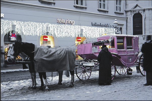 Carriages in the historic center, in a Vienna lit festively for Christmas Carriages in the historic center, in a Vienna lit festively for Christmas