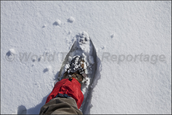So begins a nice walk with snowshoes So begins a nice walk with snowshoes