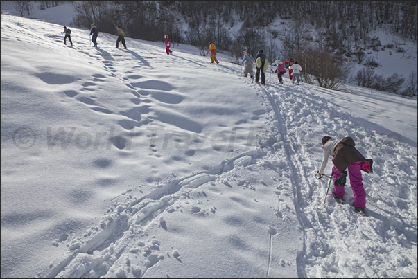 Walking with snowshoes is fun even if someone slips on steep slope Walking with snowshoes is fun even if someone slips on steep slope