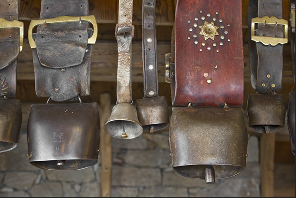 The bells of the cattle used to follow the herd grazing The bells of the cattle used to follow the herd grazing