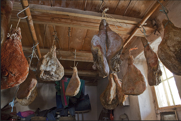 Wine, cheese and salami products in the valley, tasted directly in the production companies Wine, cheese and salami products in the valley, tasted directly in the production companies