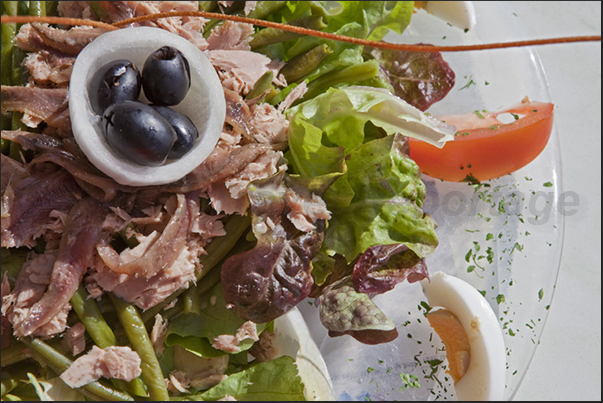 The salads with anchovies, tuna and eggs, are one of the typical dish of the lunch along the ski slopes The salads with anchovies, tuna and eggs, are one of the typical dish of the lunch along the ski slopes
