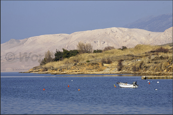 The coast of Pag Island The coast of Pag Island