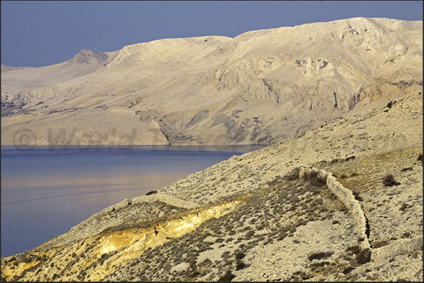 The coast of Pag Island The coast of Pag Island