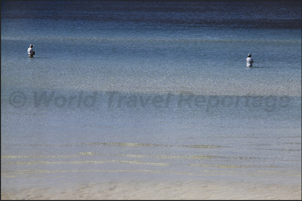 Fishing in the lagoon. The sport most practiced by those who visit the island Fishing in the lagoon. The sport most practiced by those who visit the island