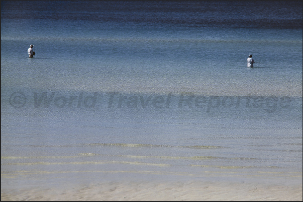 Fishing in the lagoon. The sport most practiced by those who visit the island