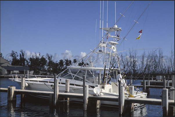 Marina in Cape Eleuthera. There are numerous boats equipped for deepsea fishing to Marlyn