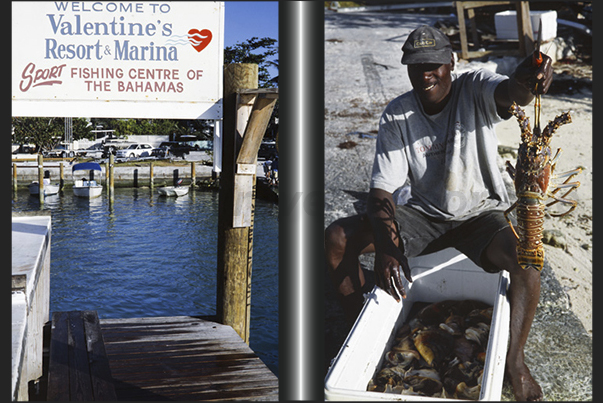 Tuna and lobster are abundant in the waters around the island