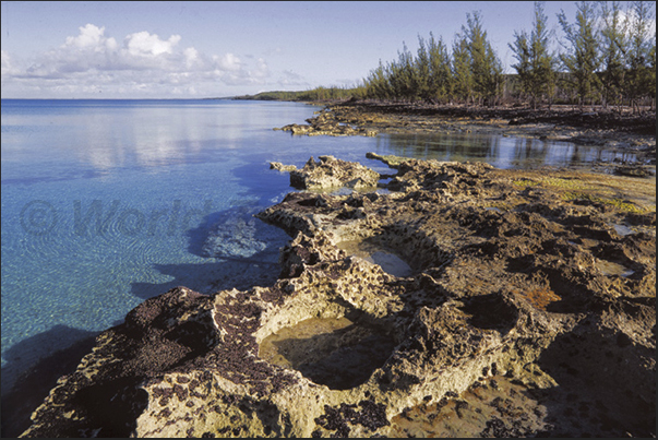 Quiet coves protected along the west coast of the islands