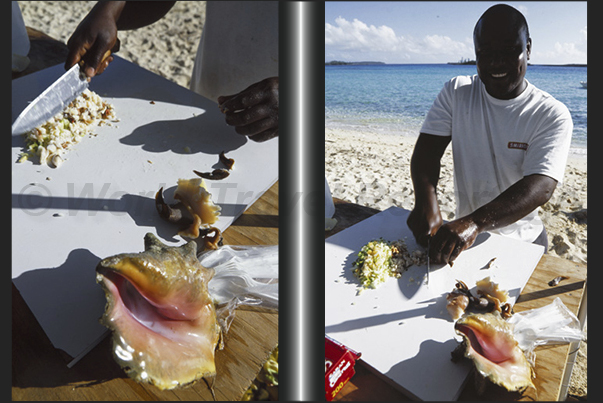Conch Shack. Preparation of the Conch, typical dish of the island, consisting of chopped vegetables together with a clam shell Conch Shack. Preparation of the Conch, typical dish of the island, consisting of chopped vegetables together with a clam shell