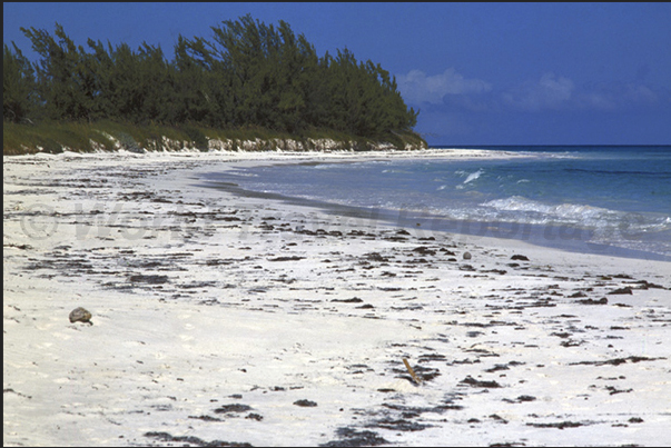 The beaches on the Atlantic Ocean (east coast) The beaches on the Atlantic Ocean (east coast)