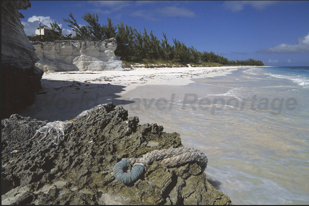 Coral beaches on the southern tip of the island Coral beaches on the southern tip of the island
