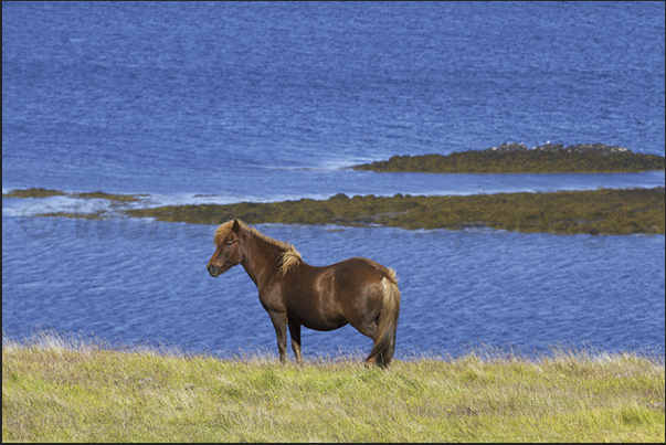The Peninsula of Skardssrond, is one of the most popular places for fans of riding along the coast of the fjord The Peninsula of Skardssrond, is one of the most popular places for fans of riding along the coast of the fjord