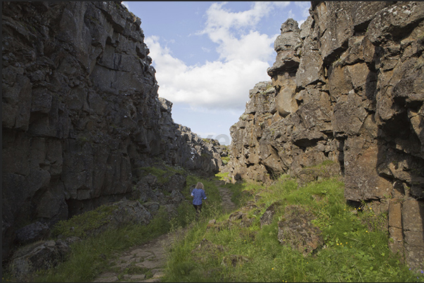 Thingvellir valley