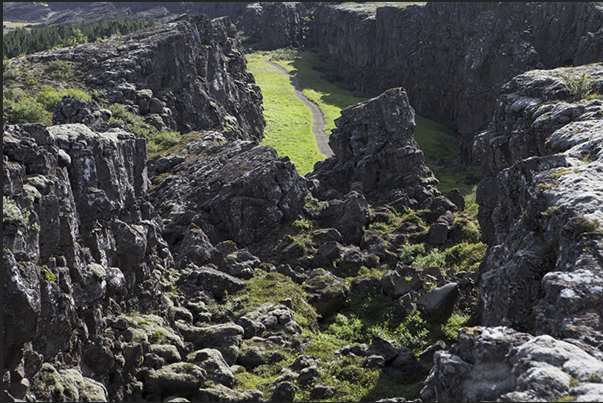 Thingvellir valley Thingvellir valley