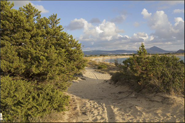 The beaches that separate the sea from the lagoon of Ghialova The beaches that separate the sea from the lagoon of Ghialova