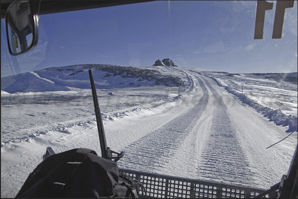 The White Cruise, an excursion to discover the glacier