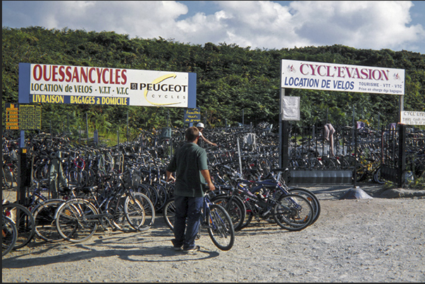 There are no cars on the island and at the harbor is possible rent a bicycle to visit the island