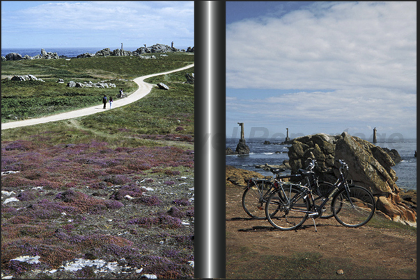 In bike along the north west coast of the island in front of Nividic lighthouse In bike along the north west coast of the island in front of Nividic lighthouse