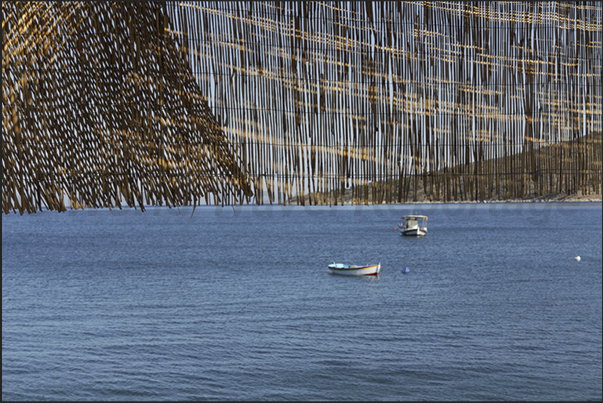 Scutari Bay, east coast of the peninsula