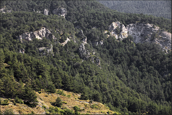 The area of the ancient mines above the village of Signols